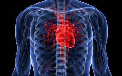 Bolile cardiovasculare si diabetul